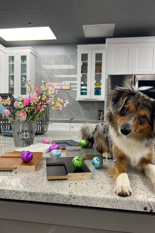 16 Places To Hide Easter Eggs In The Kitchen