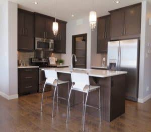 dark modern kitchen cabinets