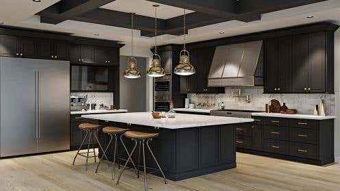 RTA Craftsman Black Shaker Kitchen Cabinets