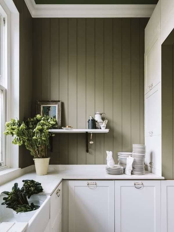 Green Shiplap wall paired with white kitchen cabinets