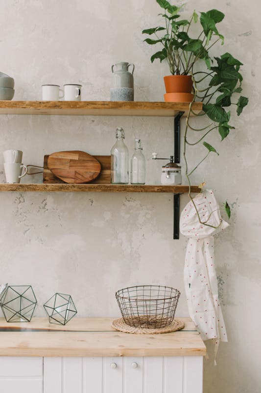 a shelf with plants and objects on it