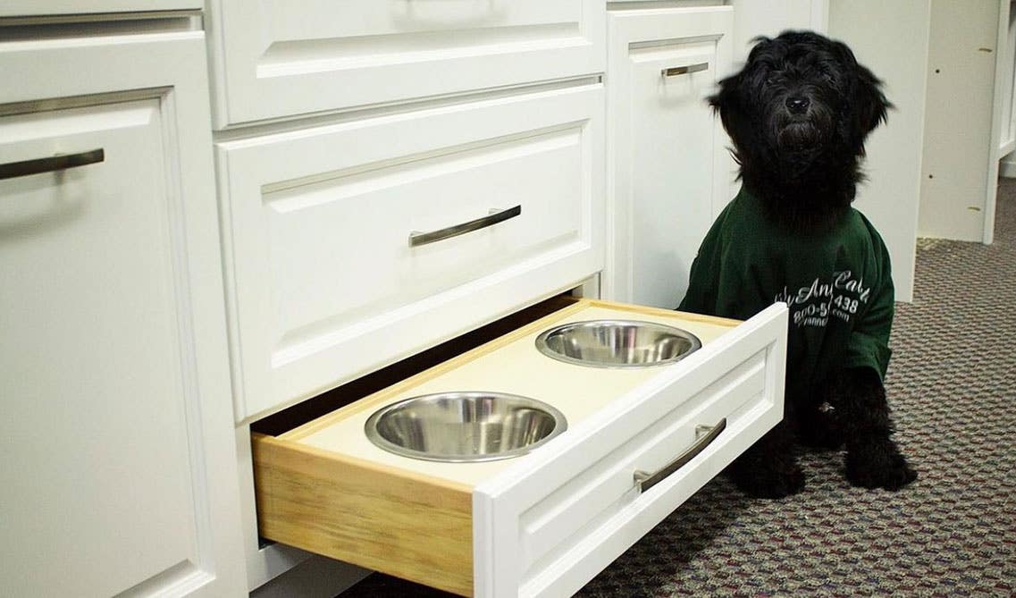 Key largo custom cabinets with black hardware and cute black puppy