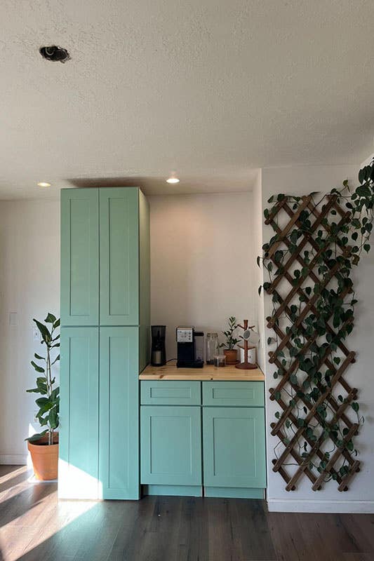 Painted Cabinets paired with white wall 