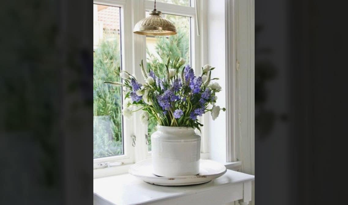 White and Purple flowers by a window in a white vase