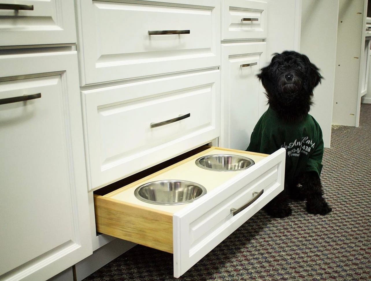 tap-and-release drawer to a bottom cabinet with cute black puppy