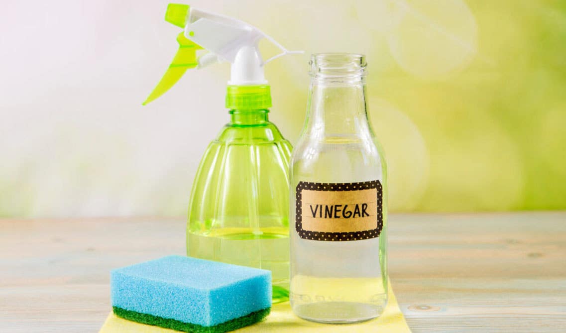 White Vinegar bottle spray