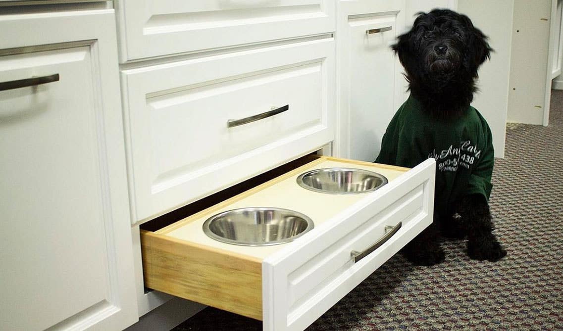 A puppy sit beside the White cabinet with pull-out drawer 