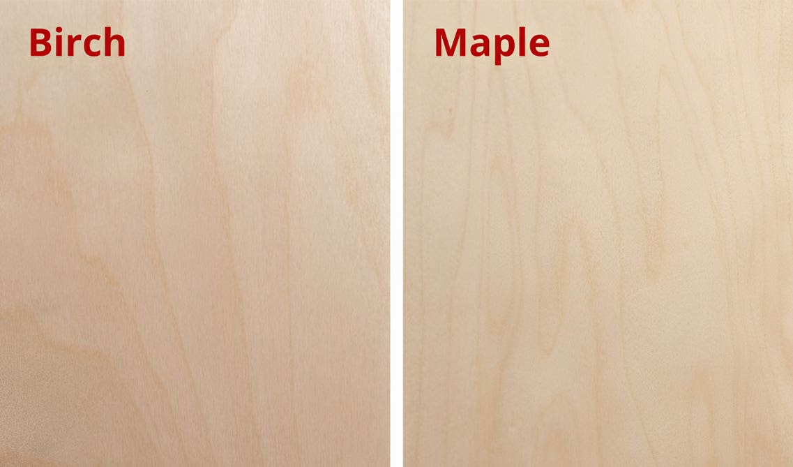 Birch vs. Maple