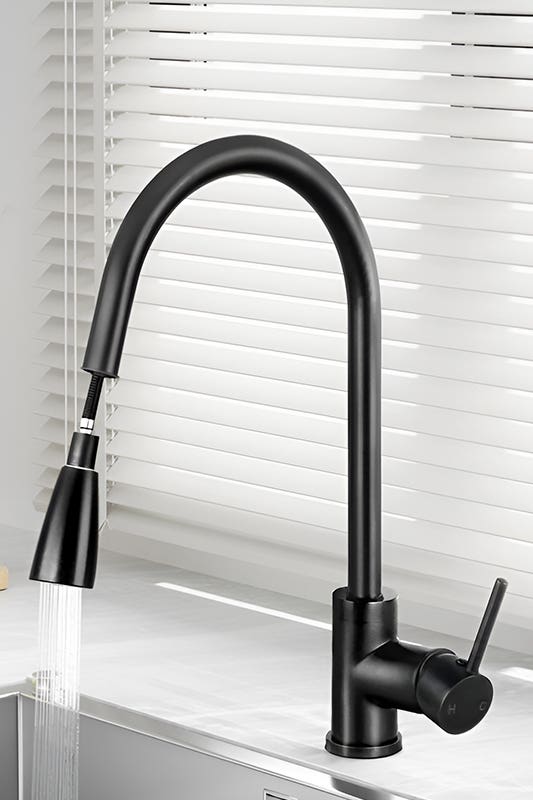 Pull-Down and Pull-Out Faucets