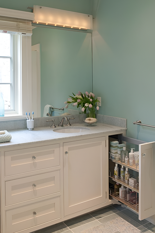 Pull-Out Shelves